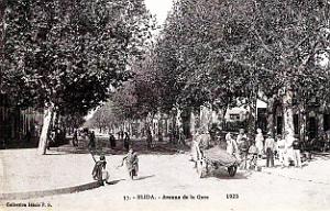 2879- Blida - Avenue de la Gare - 1923